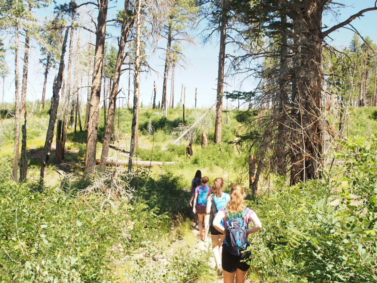 wp-1438192350089 image