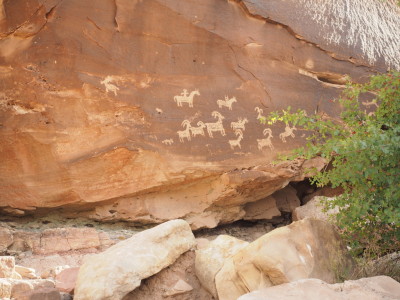 Petroglyphs