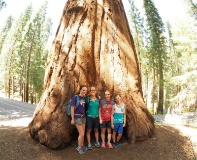 Sequoia NP