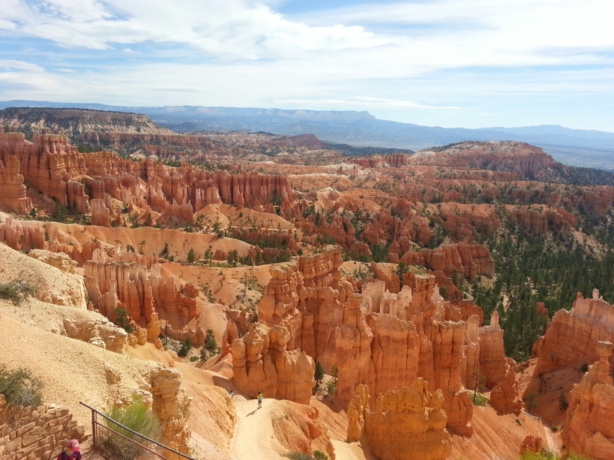 20150805_123823.jpg image