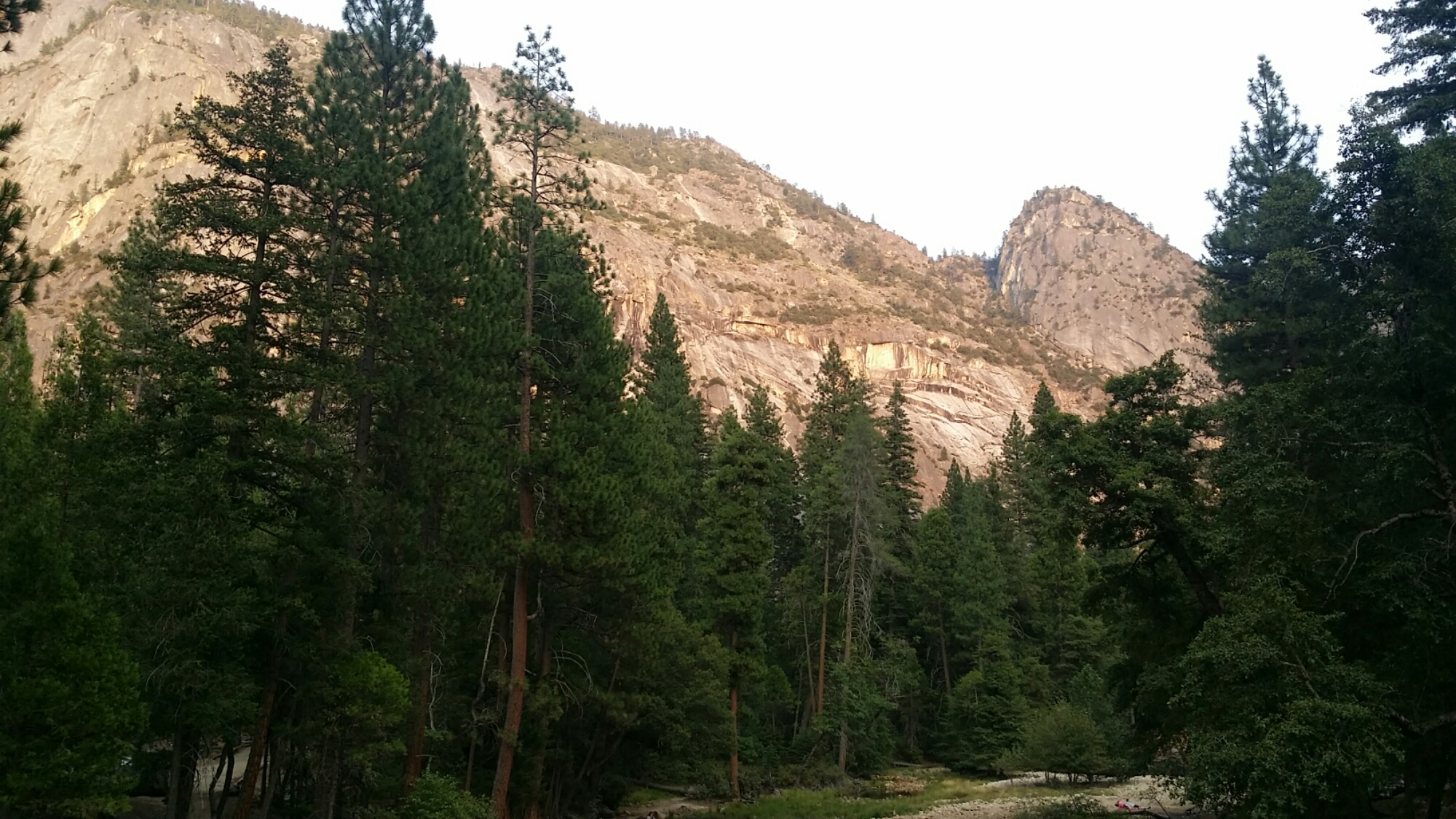 20150809_190319.jpg image